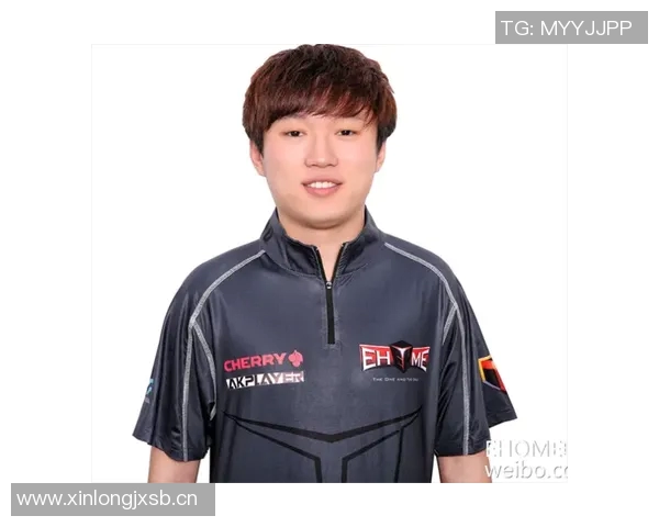 WE战队防守反击策略分析及其成效评估